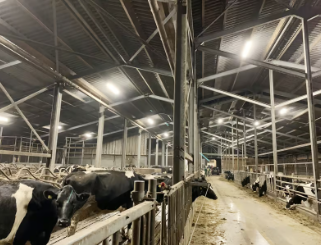 La clasificación IP69K significa que un equipo puede soportar una limpieza intensiva con chorros de alta presión y alta temperatura. Es ideal para industrias donde el saneamiento es una preocupación principal, como el procesamiento de alimentos y las aplicaciones farmacéuticas