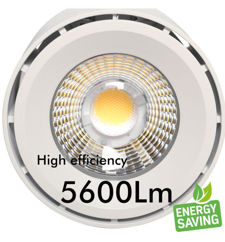 driver de la más alta calidad Philips Xitanium  incorporado en la misma pieza de conexión del foco al carril