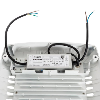 Focus especial benzineres 100w